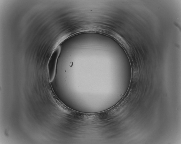 X0000096651242200802191235