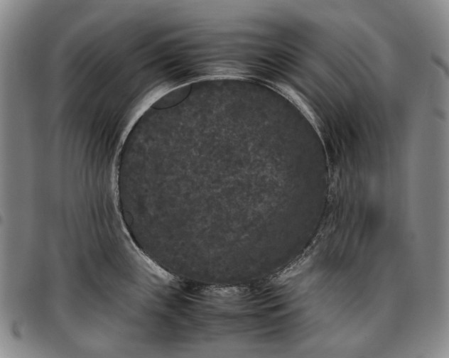 X0000096651243200802191235
