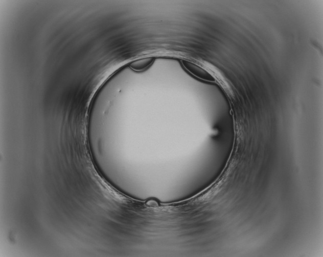 X0000096651244200802191235