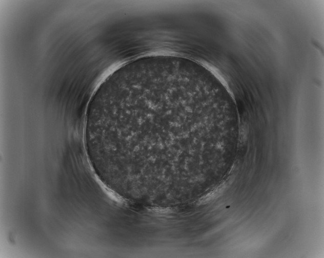 X0000096651245200802191235
