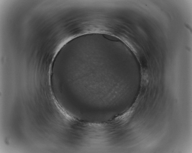 X0000096651246200802191235