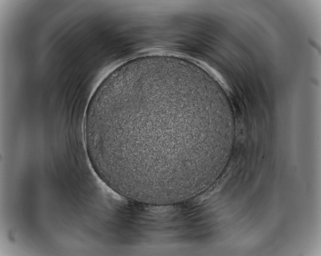 X0000096651247200802191235