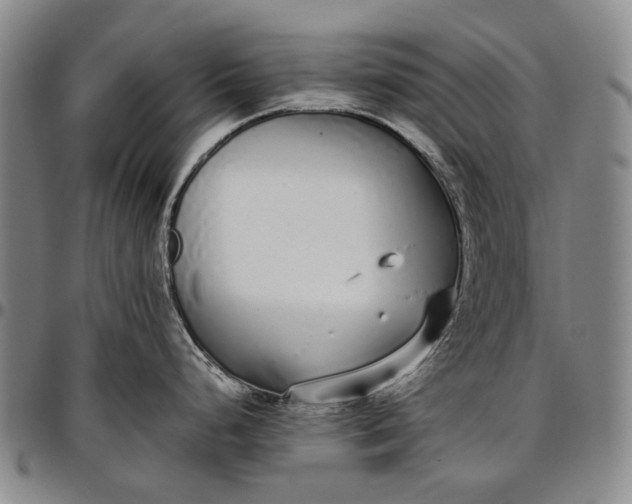X0000096651248200802191235