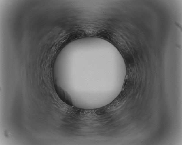 X0000096651249200802191235