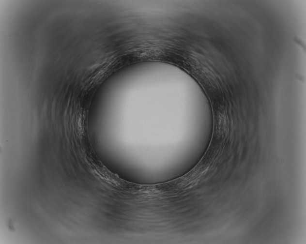 X0000096651250200802191234