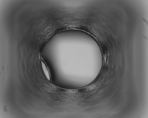 X0000096651251200802191234
