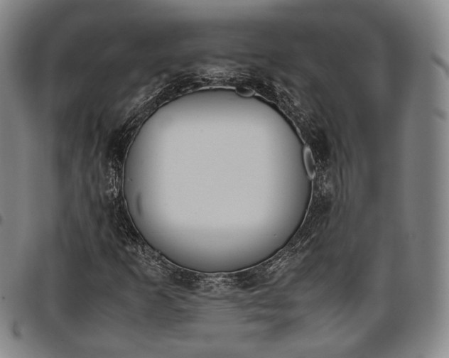 X0000096651253200802191234