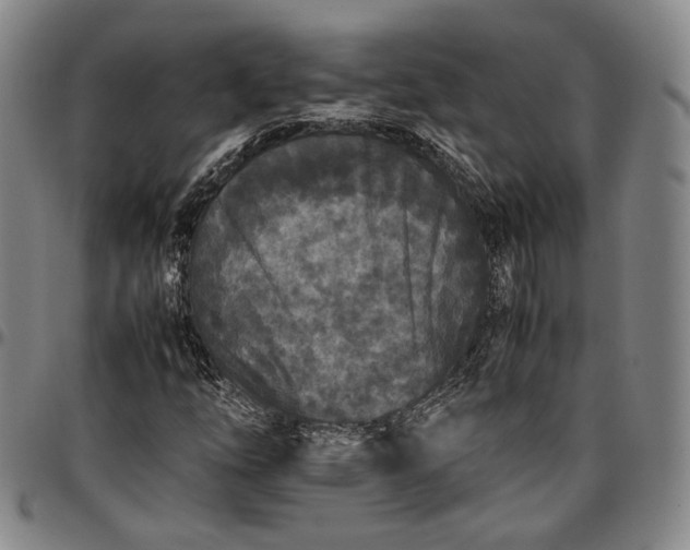 X0000096651254200802191234