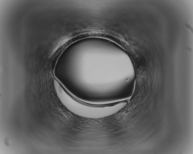 X0000096651255200802191234
