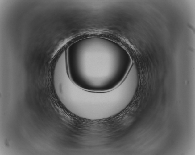 X0000096651256200802191234