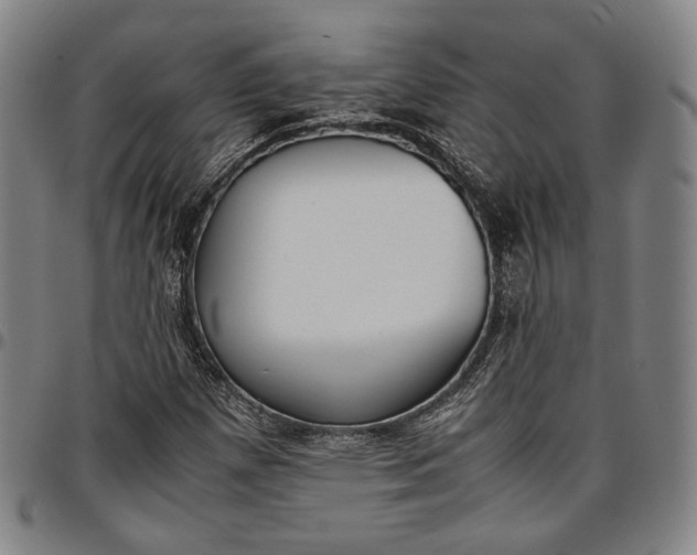 X0000096651257200802191234