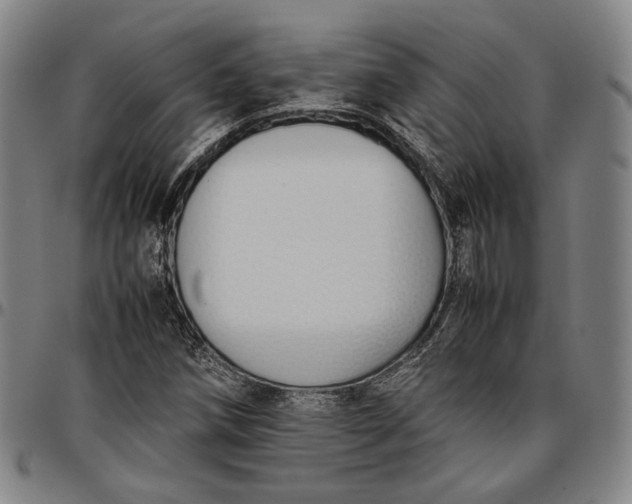 X0000096651258200802191234