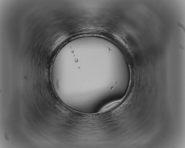 X0000096651259200802191234