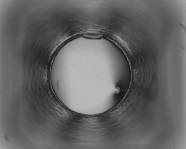 X0000096651260200802191234