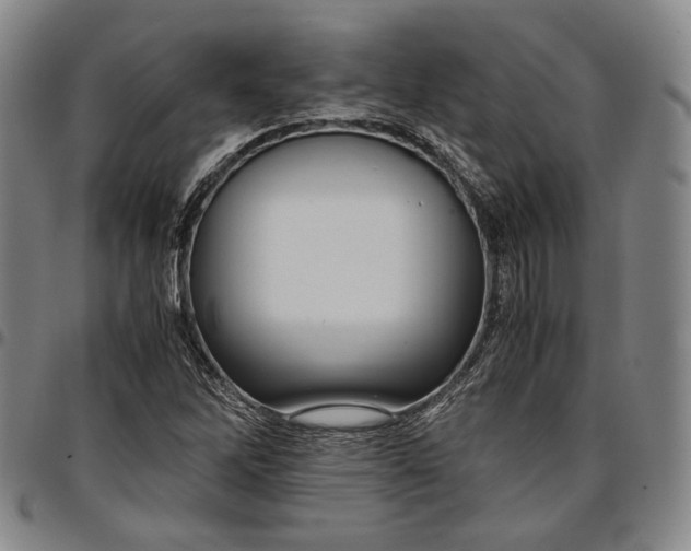 X0000096651262200802191234