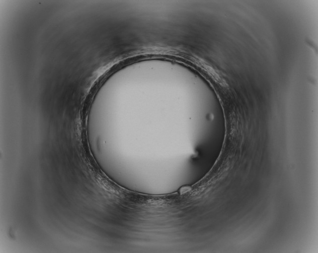 X0000096651264200802191234