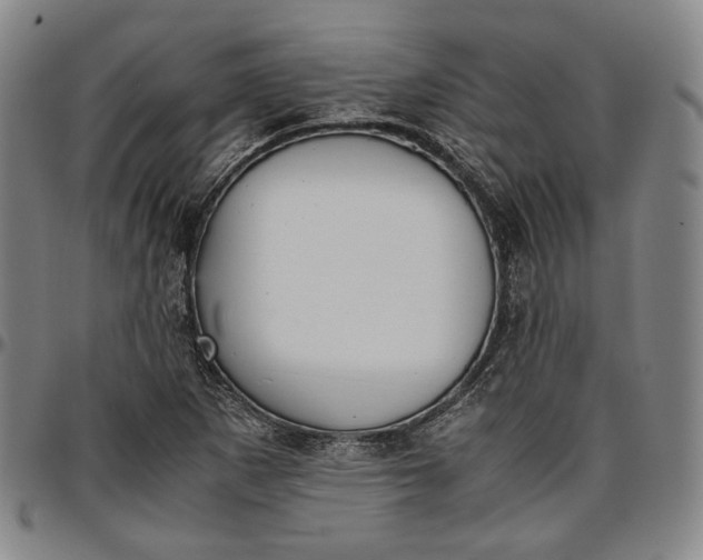 X0000096651265200802191234