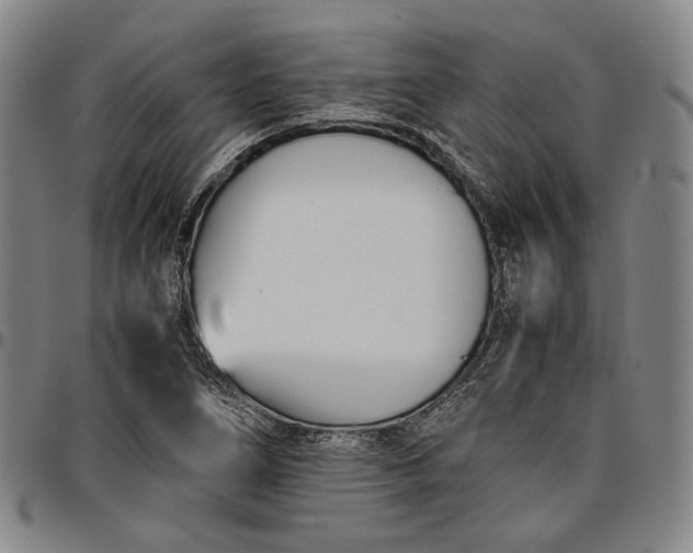 X0000096651266200802191234