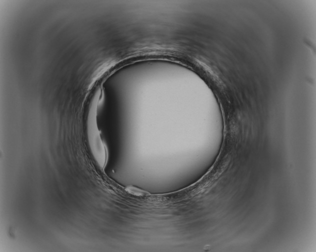 X0000096651267200802191234