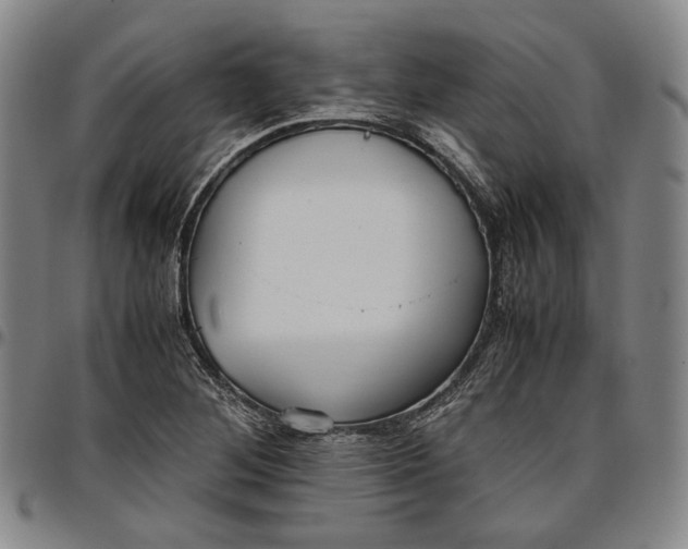 X0000096651268200802191234