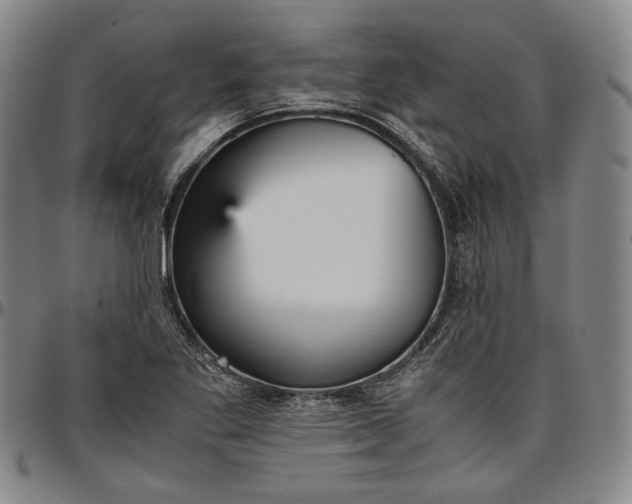 X0000096651269200802191234
