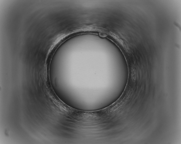 X0000096651270200802191234