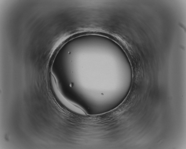X0000096651271200802191234
