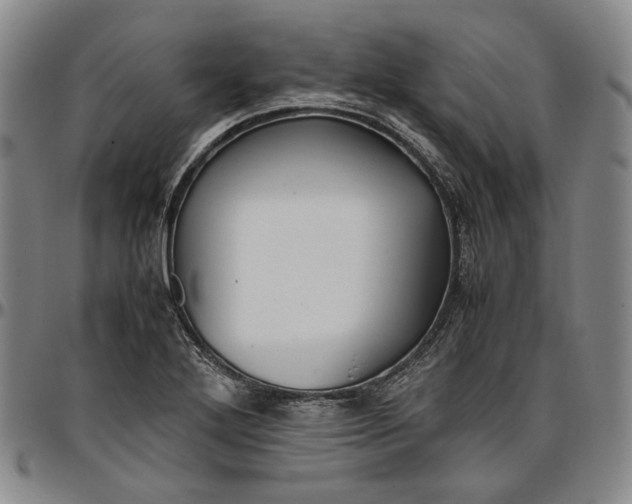 X0000096651272200802191234