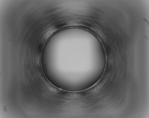 X0000096651273200802191234