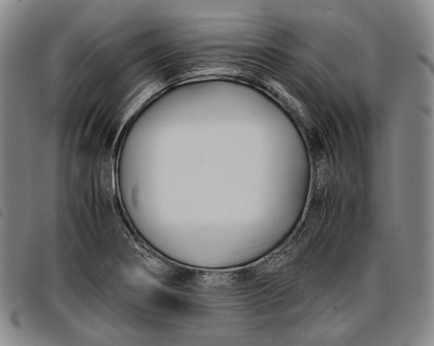 X0000096651274200802191234