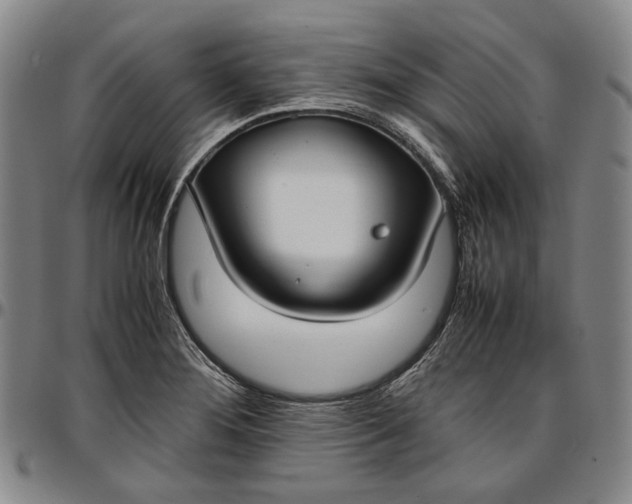 X0000096651276200802191234