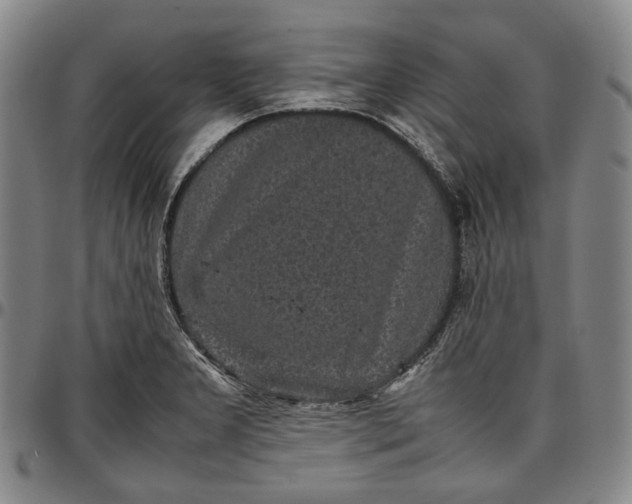 X0000096651277200802191234