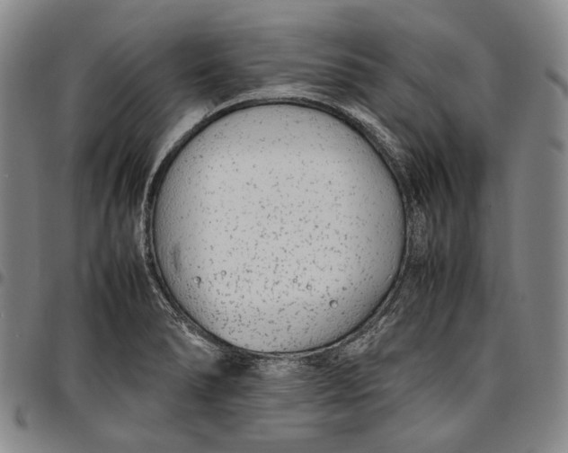 X0000096651278200802191234