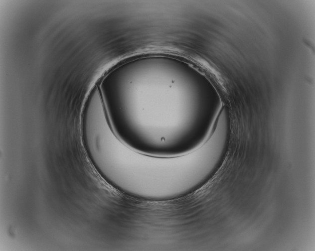 X0000096651280200802191234