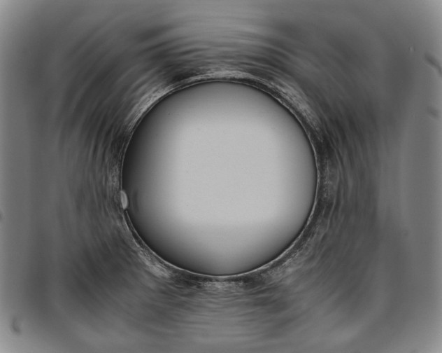 X0000096651281200802191234