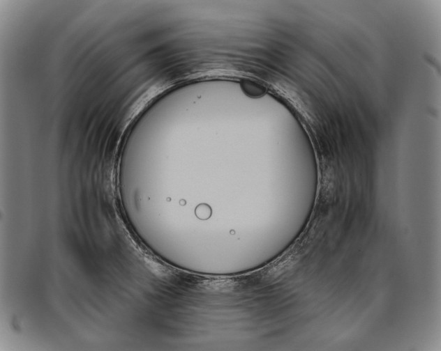 X0000096651282200802191234
