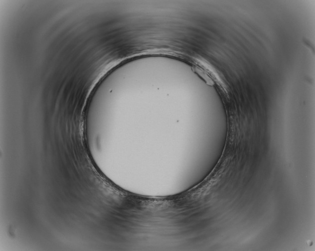 X0000096651284200802191234