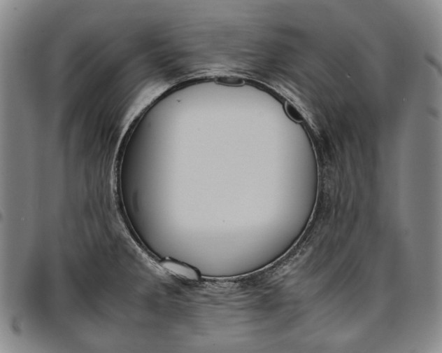 X0000096651285200802191234
