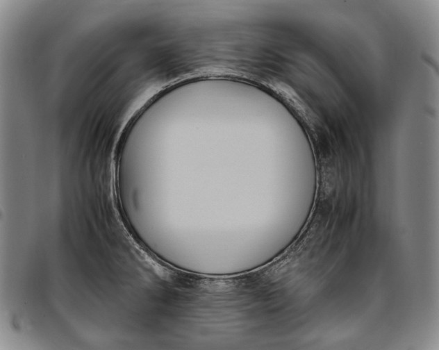 X0000096651286200802191234