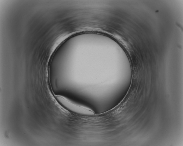 X0000096651287200802191234
