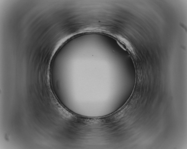 X0000096651288200802191234