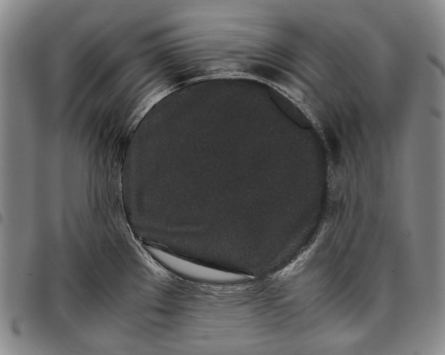 X0000096651289200802191234