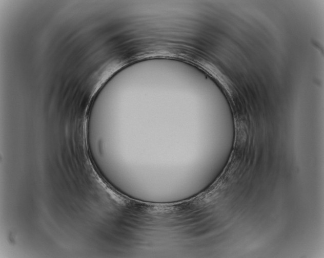X0000096651290200802191234