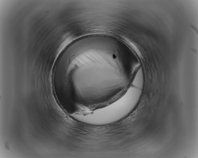 X0000096651291200802191234