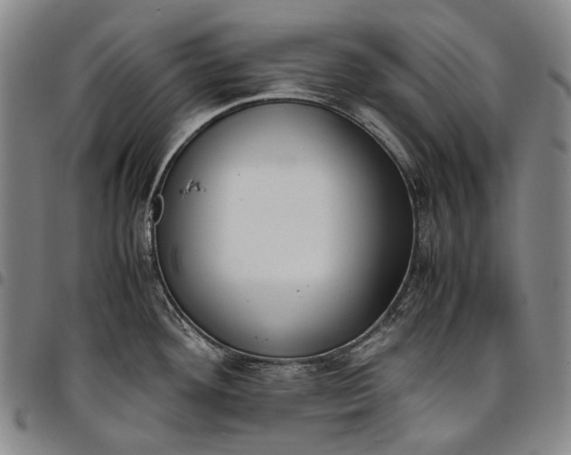 X0000096651292200802191234