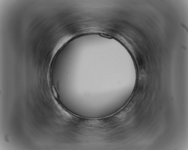 X0000096651293200802191234