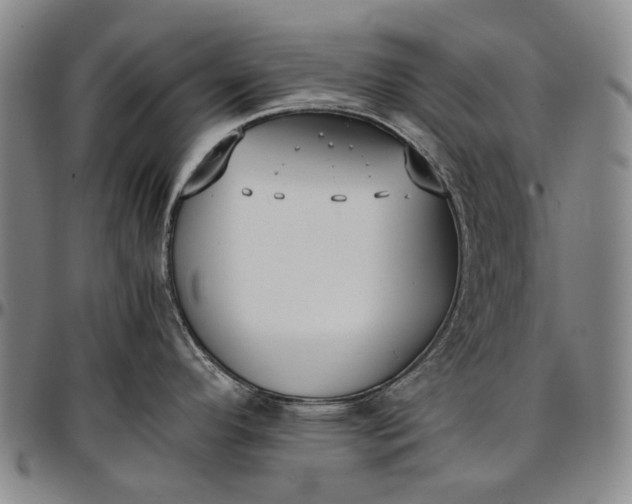 X0000096651296200802191234