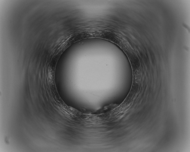 X0000096651298200802191233