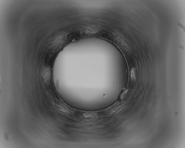 X0000096651299200802191233