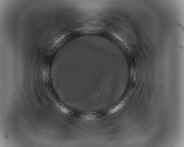 X0000096651300200802191233